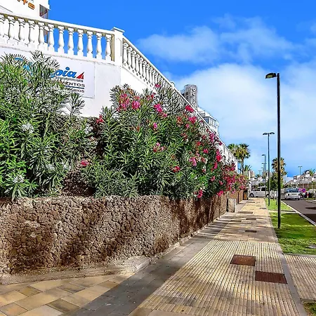 شقة Tenerifeopenhome Olympia 225 أذيخي