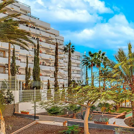 Tenerifeopenhome Olympia 225 أذيخي